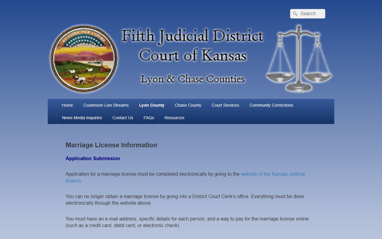Fifth Judicial District marriage license instructions for Lyon County